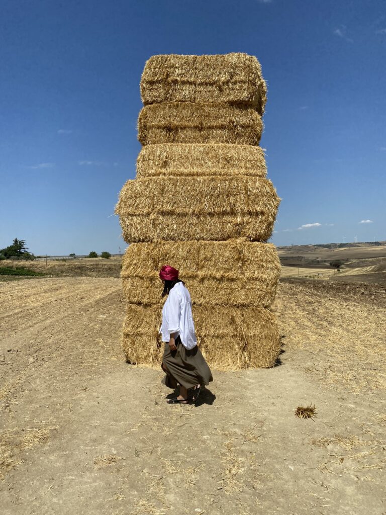 Un campo di balle di fieno, tra Venosa e Melfi
